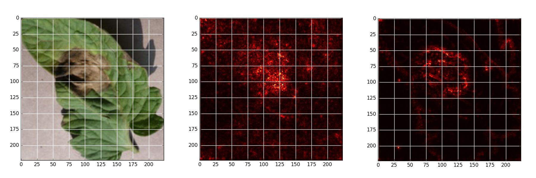 Github Markoarsenovic Deeplearning Plantdiseases Training And